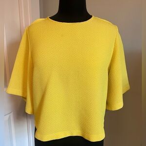 Sandro Paris gorgeous yellow top